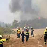 FOTO+VIDEO: Ogenj na Krasu nadaljuje svoj uničujoči pohod. V zaledju Renč evakuacija le za sedem krajev.