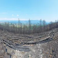  Cesta Renće - Temnica 

