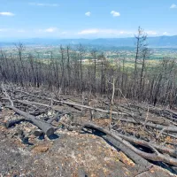 Cesta Renče - Temnica