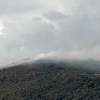 Okrog 1. ure je zagorelo na hribu Veliki Ovčjak na območju 
komenske občine.