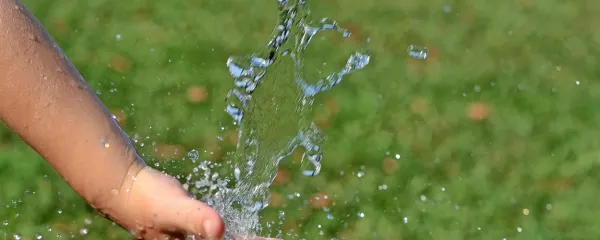 Za prehransko varnost si gresta voda in pridelava hrane z roko v 
roki, torej je za obe mesto v najvišjih družbenih dogovorih.