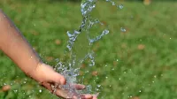 Za prehransko varnost si gresta voda in pridelava hrane z roko v 
roki, torej je za obe mesto v najvišjih družbenih dogovorih.