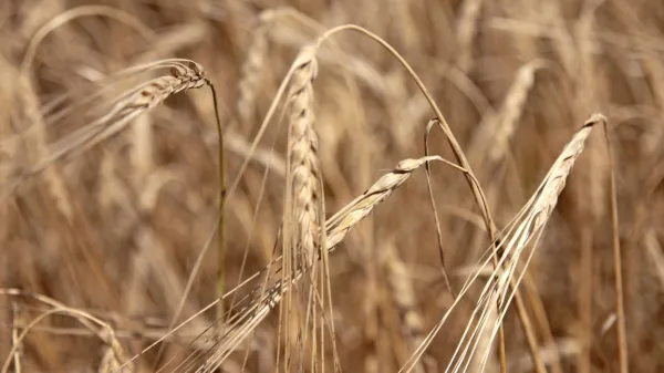 Ob lastnem kruhu in vodi