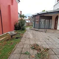 Zakaj so morala pasti drevesa na vrtu koprskega Circola