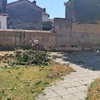 Zakaj so morala pasti drevesa na vrtu koprskega Circola