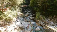 Tolminska korita z brvema čez Tolminko in Zadlaščico  bodo letos morda zabeležila rekordnih 100.000 obiskovalcev. 