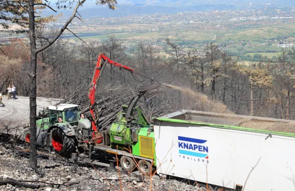 Na največjem slovenskem požarišču vseh časov te dni brnijo stroji 
za izdelavo sekancev, ki v eni uri izdelajo 90 kubičnih metrov 
sekancev.