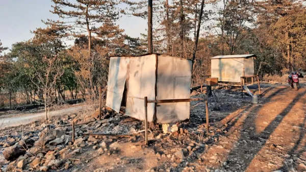 Pod Mirenskim gradom sta čebelarju v velikem požaru zgorela dva 
čebelnjaka.  