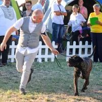 FOTO: Najlepši človekovi zvesti prijatelji