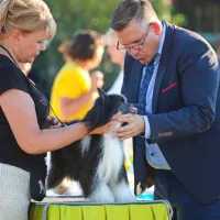 FOTO: Najlepši človekovi zvesti prijatelji
