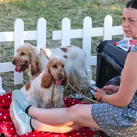 FOTO: Najlepši človekovi zvesti prijatelji