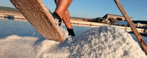 V kavedinih solinarji hodijo obuti v taperine.