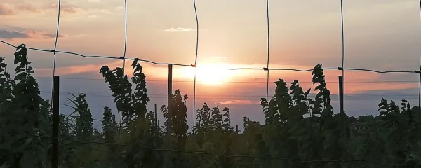 

Duhovno nadarjeni ljudje začutijo spremembo vremena, preden 
se zgodi.