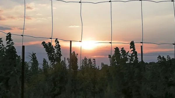 

Duhovno nadarjeni ljudje začutijo spremembo vremena, preden 
se zgodi.