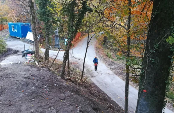 Pri urejanju dostopa do Ravbarjevega stolpa so posekali nekaj 
slabih in eno zdravo drevo, kar je razburilo nekatere domačine.