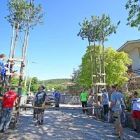Postavljanju slavolokov so se v teh dneh v Repnu posvetili številni 
domačini in prijatelji Kraške ohceti.