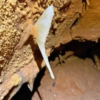 Odkritje pod predorom: “Ni še Postojnska jama, lahko pa bo”