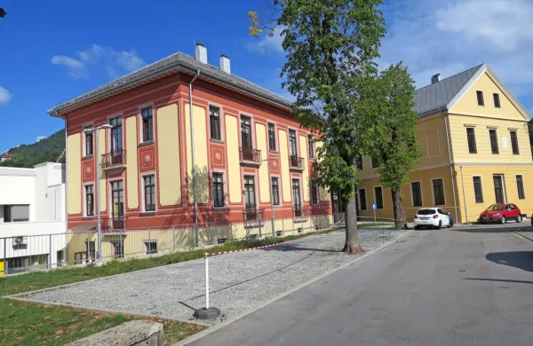 ZDI manjka polovica zdravnikov. S  prenovo avstrijskega dela 
nekdanjega doma (rumena stavba)  bo prihodnje leto rešena 
prostorska stiska.