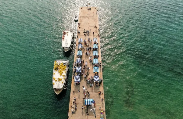 Danes med  13. in 22. uro pripravljajo tudi  Pomol okusov.