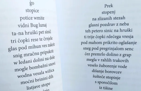 Med gosti letošnje Vilenice bo tudi Renato Quaglia. Njegove pesmi v rezijanskem solbaškem 
narečju je v knjižno slovenščino prepesnil Marko Kravos. 