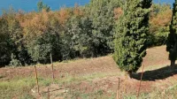 Del HF radarskega  sistema so štiri oddajne antene  (na pobočju), ki so 
z  zabojnikom  z elektroniko povezane le z enim kablom,  ...