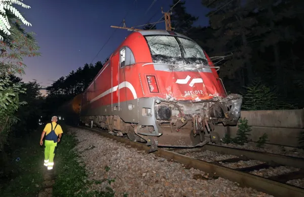 Preiskovalec železniških nesreč je oba strojevodja preskusil z 
alkotestom in ugotovil, da sta  trezna. 