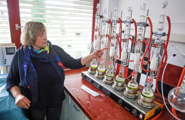 Dr. Milena Bučar Miklavčič v dobro opremljenem, a tesnem 
laboratoriju Inštituta za oljkarstvo ZRS Koper.