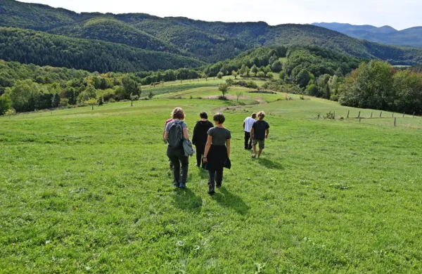 Na območju Vremščice in Košanske doline bodo obnovili 45 hektarjev travnikov in  sadovnjakov.