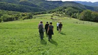 Na območju Vremščice in Košanske doline bodo obnovili 45 hektarjev travnikov in  sadovnjakov.