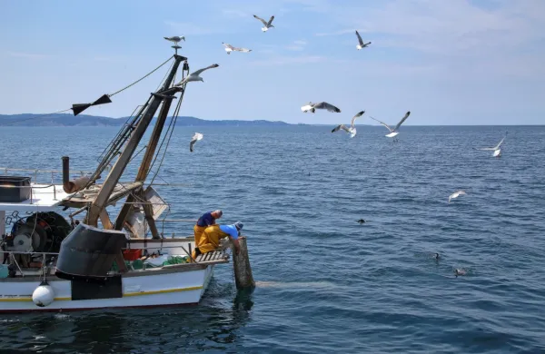 Vloge bo mogoče oddati od 17. oktobra.