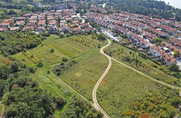 Skoraj pet hektarjev veliko območje na vrhu  Ankarana je v občinskih načrtih namenjeno stanovanjski gradnji. 