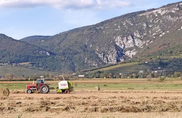 Nad Vipavsko dolino se dviga rob Trnovske planote. Od tod ideja zadrževalnika vode in črpalne hidroelektrarne za namakanje.