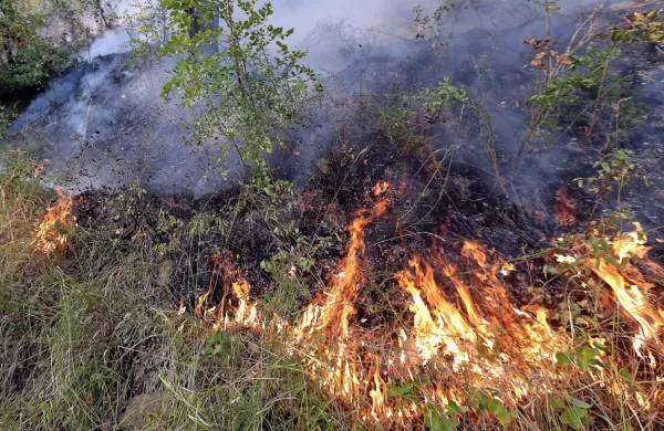 Nanodelci nastajajo tudi v naravnih procesih, na primer pri 
gorenju.