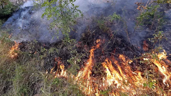 Nanodelci nastajajo tudi v naravnih procesih, na primer pri 
gorenju.