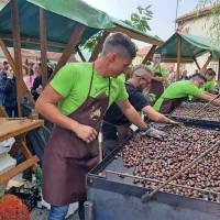 Rodičani so za obiskovalce nabrali tono in pol kostanja.