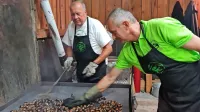   Vitovski maron je od nekdaj zelo cenjen.
