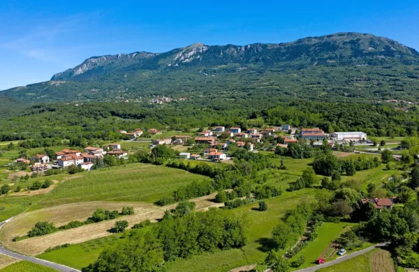 V Dobravljah bodo zgradili mini naselje hiš za mlade.