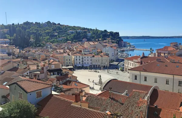 Nadzorni odbor občine Piran, ki ta mandat ni prav uspešno speljal, 
je znova izgubil nekaj članov. 