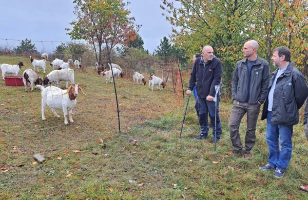 Simon Godec (prvi z leve) je na svoji kmetiji na Baču z visoko 
elektromrežo uspešno ubranil  drobnico pred napadi volkov.