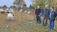 Simon Godec (prvi z leve) je na svoji kmetiji na Baču z visoko 
elektromrežo uspešno ubranil  drobnico pred napadi volkov.