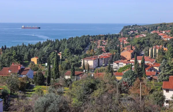 Ankaranska občina je tako majhna, da večjega števila obiskovalcev ne prenese. Če hoče tržiti butični turizem, mora gostom 
ponuditi izkušnjo dodatne vrednosti. 