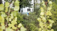 Urbani parki in gozdovi imajo pravice, samonikli ekosistemi pa so 
topogledno diskriminirani, saj nimajo nikakršnih mehanizmov, ki 
bi jih ščitili ali sploh prepoznali kot prostore narave.