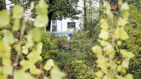 Urbani parki in gozdovi imajo pravice, samonikli ekosistemi pa so 
topogledno diskriminirani, saj nimajo nikakršnih mehanizmov, ki 
bi jih ščitili ali sploh prepoznali kot prostore narave.