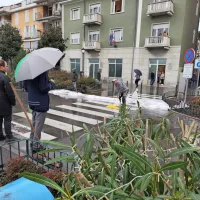 Izola