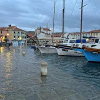 Izola