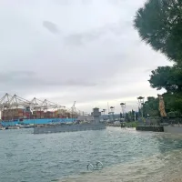 Koper
