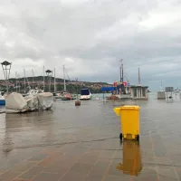 Koper