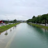 Koper