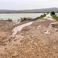 FOTO: Zaradi visoke plime poplavilo precejšnji del Izole in Pirana, avte je zibalo kot barke