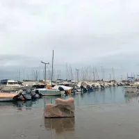 Koper